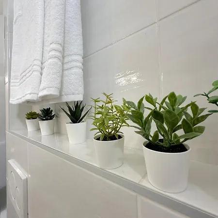 Apartment Maison San Felice